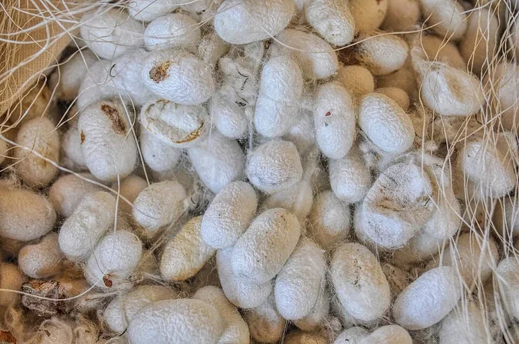 Choosing the Fibers of a Persian Carpet
