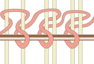 The Tibetan Knot and Looped Carpet Texture