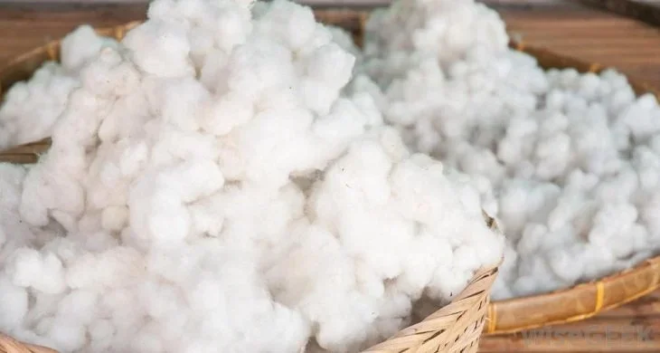 Why Cotton Supports Persian Rug Structure