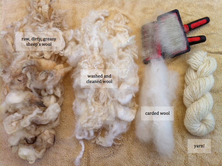 Regional Wool and the Character of Persian Carpets